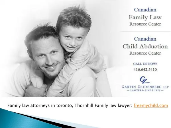 Toronto Based Family Law Lawyer, Lawyer in Toronto Legal Ai
