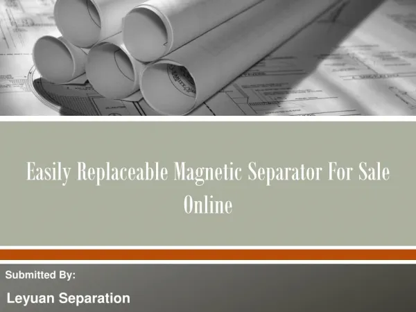 Easily Replaceable Magnetic Separator For Sale Online