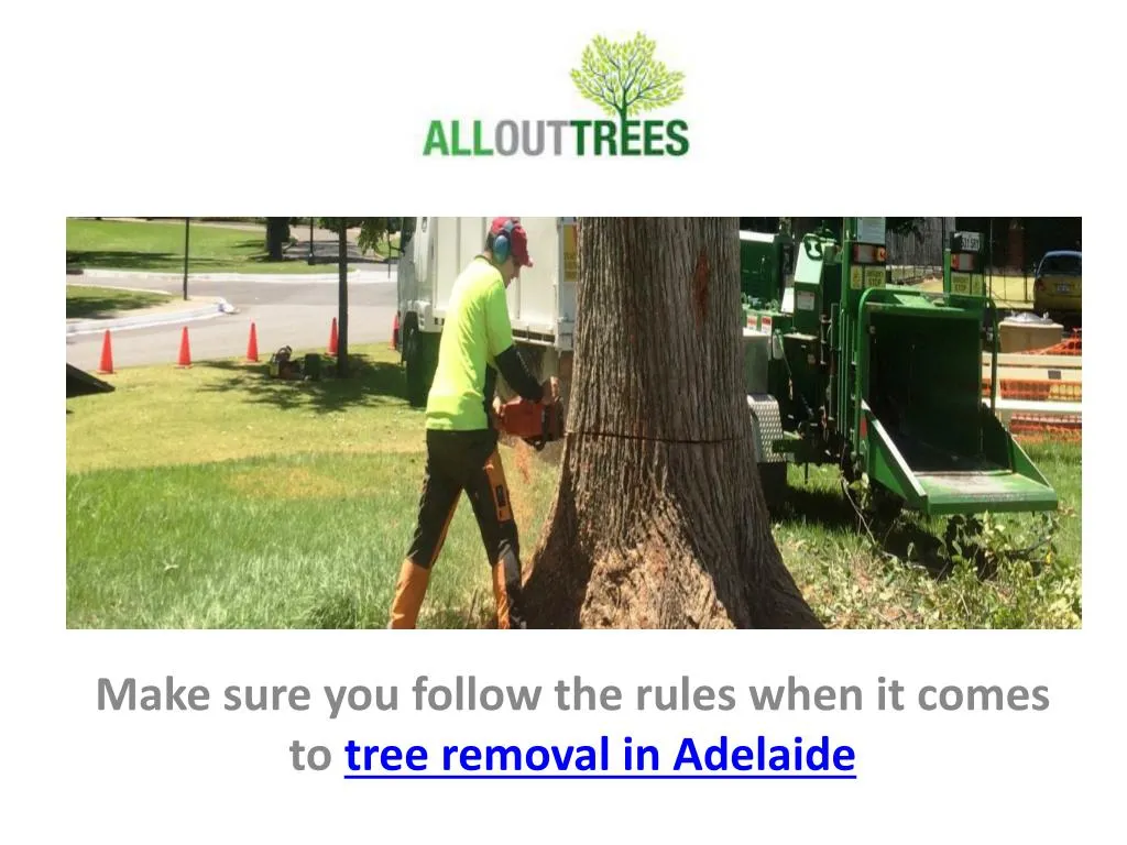make sure you follow the rules when it comes to tree removal in adelaide