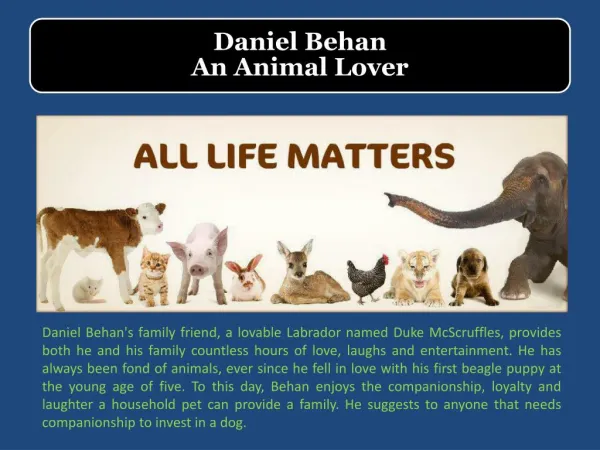 Daniel Behan - An Animal Lover