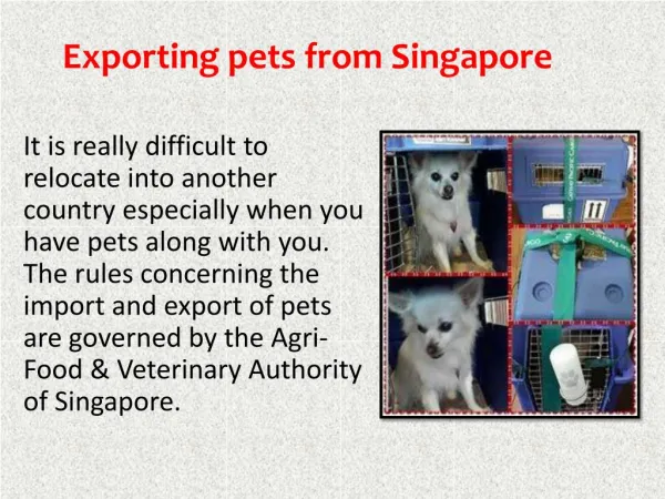 Pet Movers Singapore