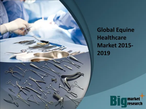 2015-2019 Global Equine Healthcare Market
