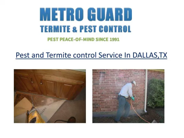 Pest and Termite control Service In DALLAS,TX