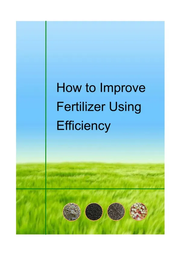 How to Improve Fertilizer Using Efficiency