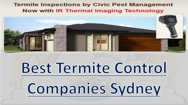 Best Termite Control Companies Sydney