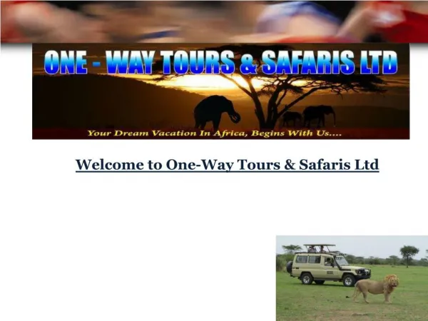 Welcome to One-Way Tours & Safaris Ltd