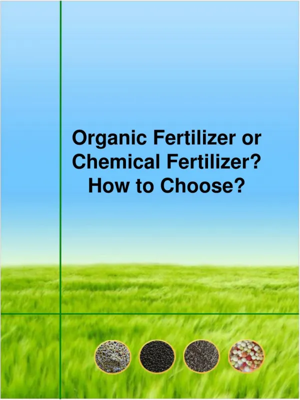Organic Fertilizer or Chemical Fertilizer? How to Choose?