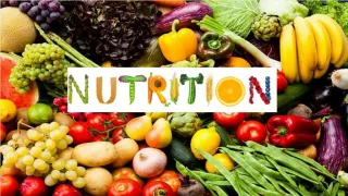 Nutrition - slide 1