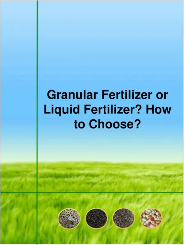 Granular Fertilizer or Liquid Fertilizer? How to Choose?