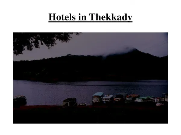 Thekkady Hotels
