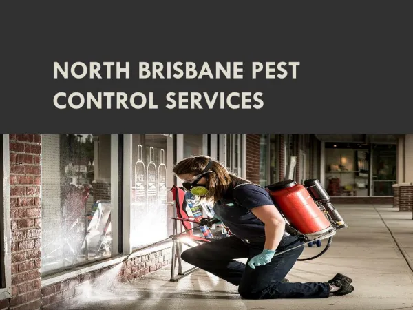 North Brisbane Pest Control Services