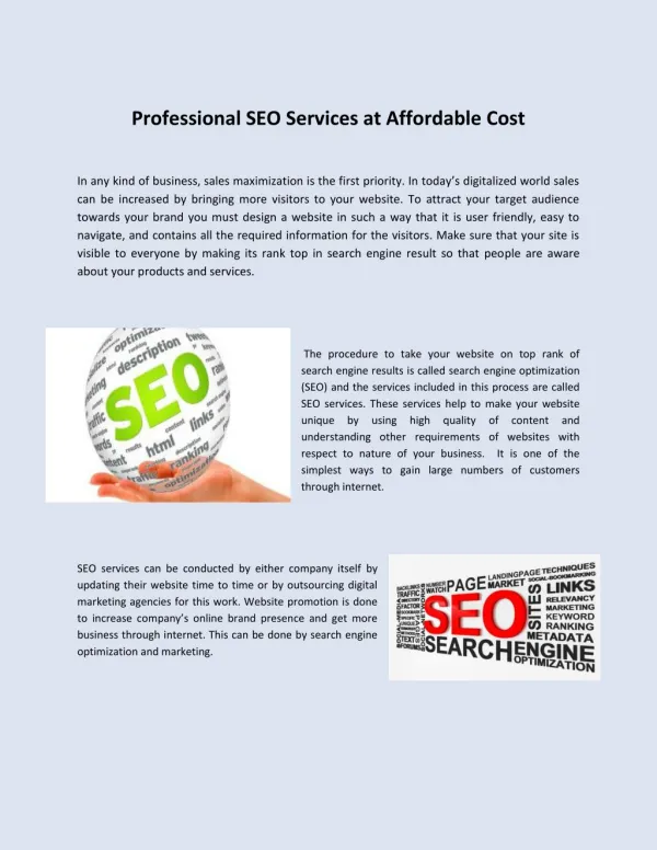 Professional SEO Services at Affordable Cost