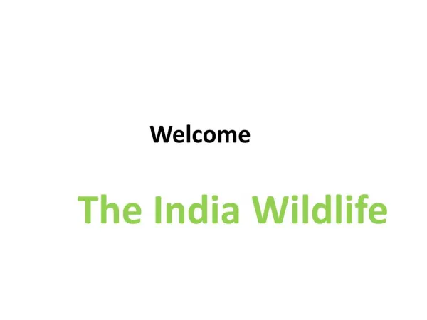 India Wildlife Holidays