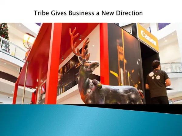 Tribe Gives Business a New Direction