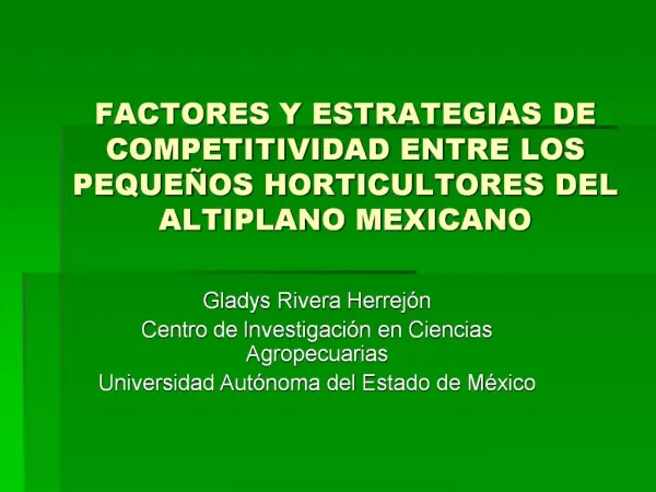 FACTORES Y ESTRATEGIAS DE COMPETITIVIDAD ENTRE LOS PEQUE OS HORTICULTORES DEL ALTIPLANO MEXICANO