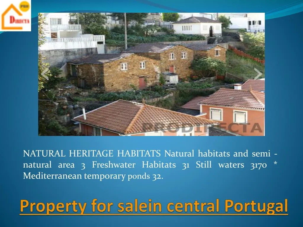 property for salein central portugal