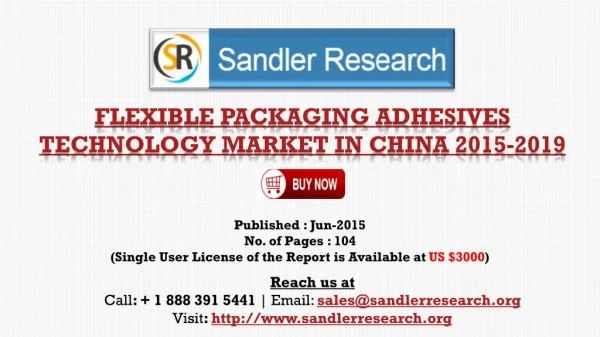 2019 China Flexible Packaging Adhesives Technology Market Gr