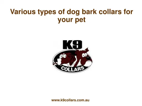 Various types of dog bark collars for your pet