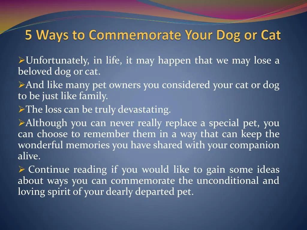 5 ways to commemorate your dog or cat