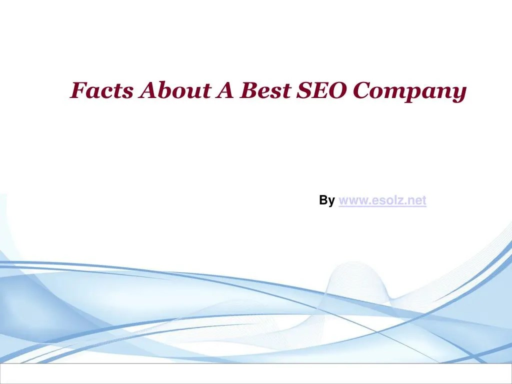 facts about a best seo company