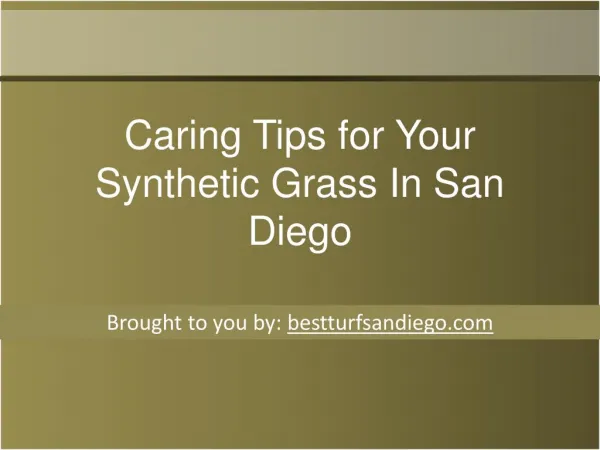 Caring Tips for Your Synthetic Grass In San Diego