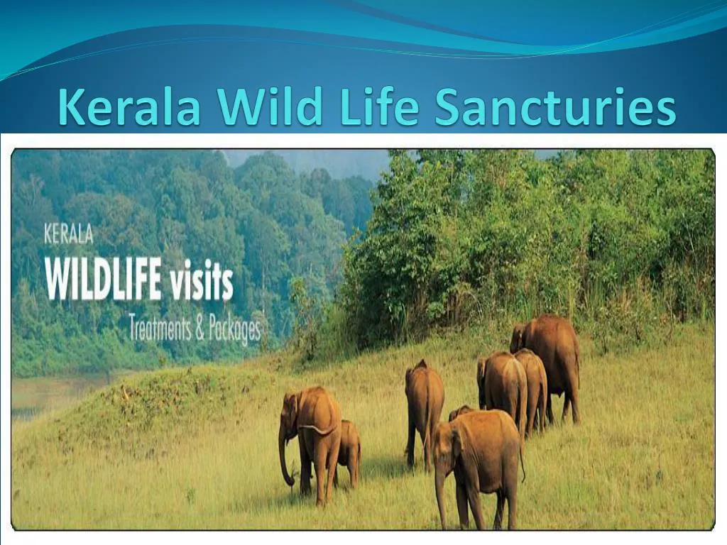 kerala wild life sancturies