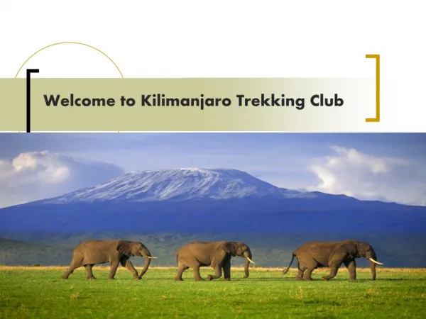Welcome to Kilimanjaro Trekking Club
