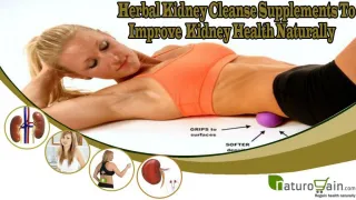 Herbal Kidney Cleanse Supplements To Improve Kidney Health N