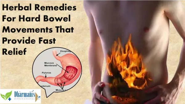 Herbal Remedies For Hard Bowel Movements That Provide Fast R