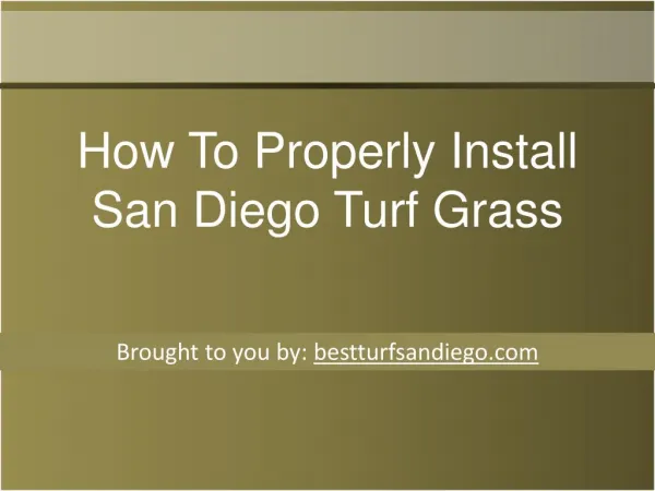 How To Properly Install San Diego Turf Grass