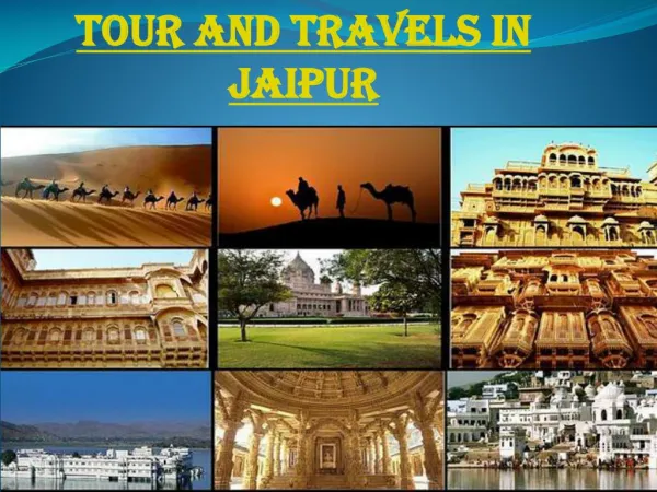 Tour and travels in Jaipur