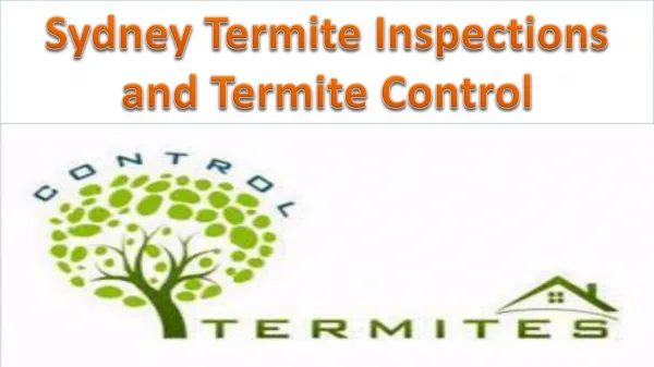 Sydney Termite Inspections and Termite Control