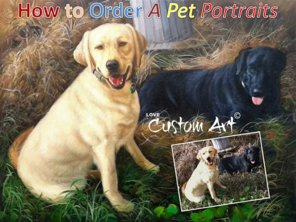 How to Order A Pet Portraits - LoveCustomArt