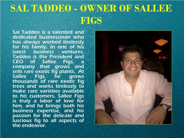 SAL TADDEO - OWNER OF SALLEE FIGS