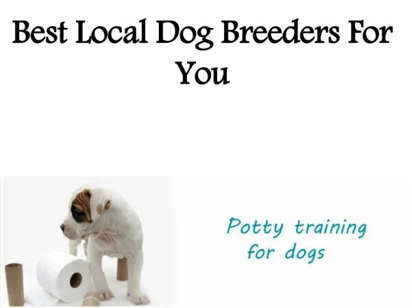 Best Local Dog Breeders For You