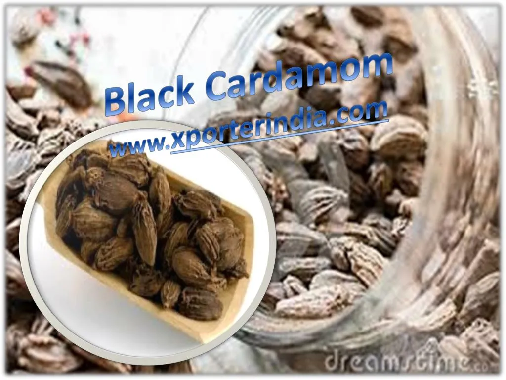 black cardamom www xporterindia com