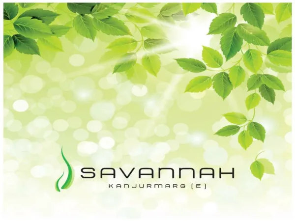 Savannah brochure