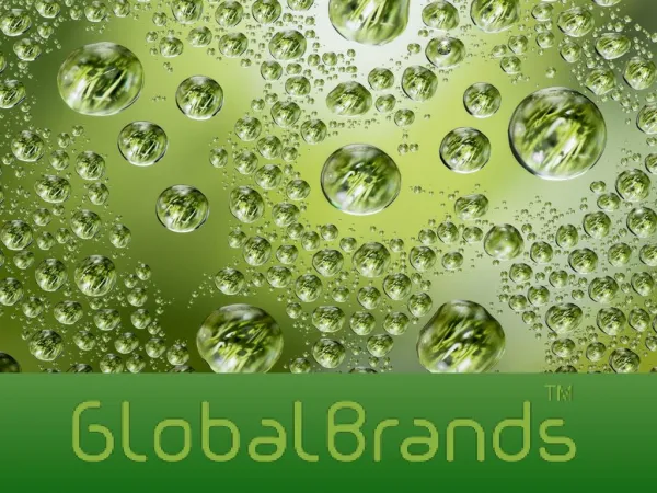Global Brands de Marketing Brasil