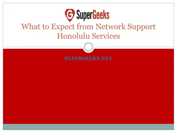What to Expect from Network Support Honolulu Services