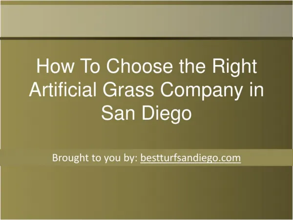 How To Choose the Right Artificial Grass Company in San Dieg