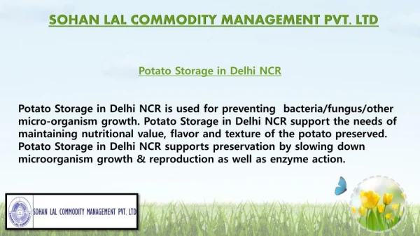 Potato Storage in Delhi NCR