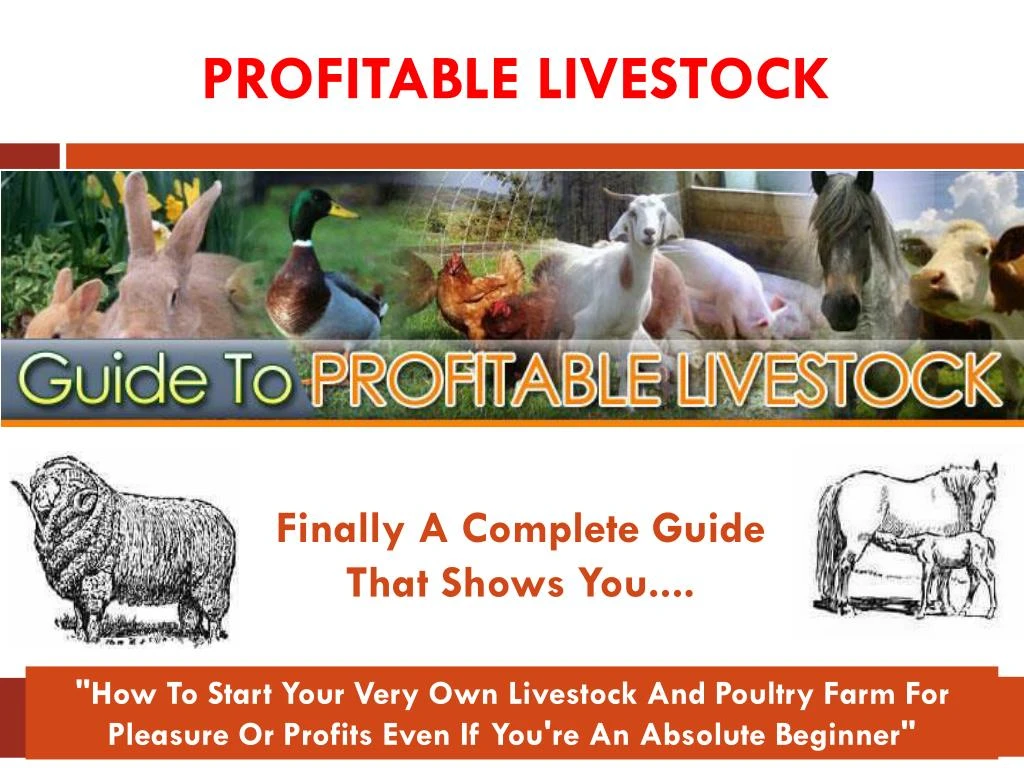 profitable livestock
