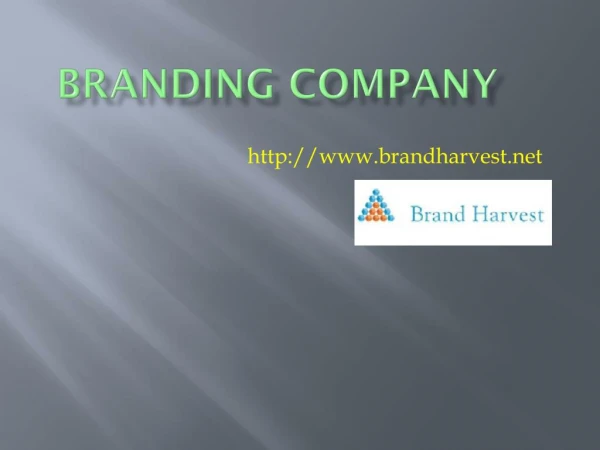 Branding Company