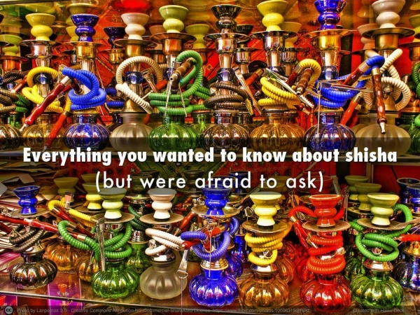 Everything You Wanted to Know About Shisha
