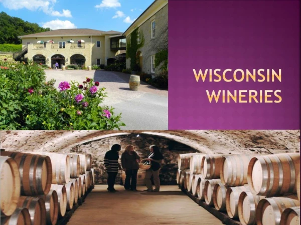Wisconsin wineries