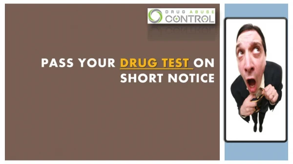 Pass your drug test on short notice