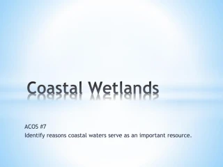 Coastal Wetlands - slide 1