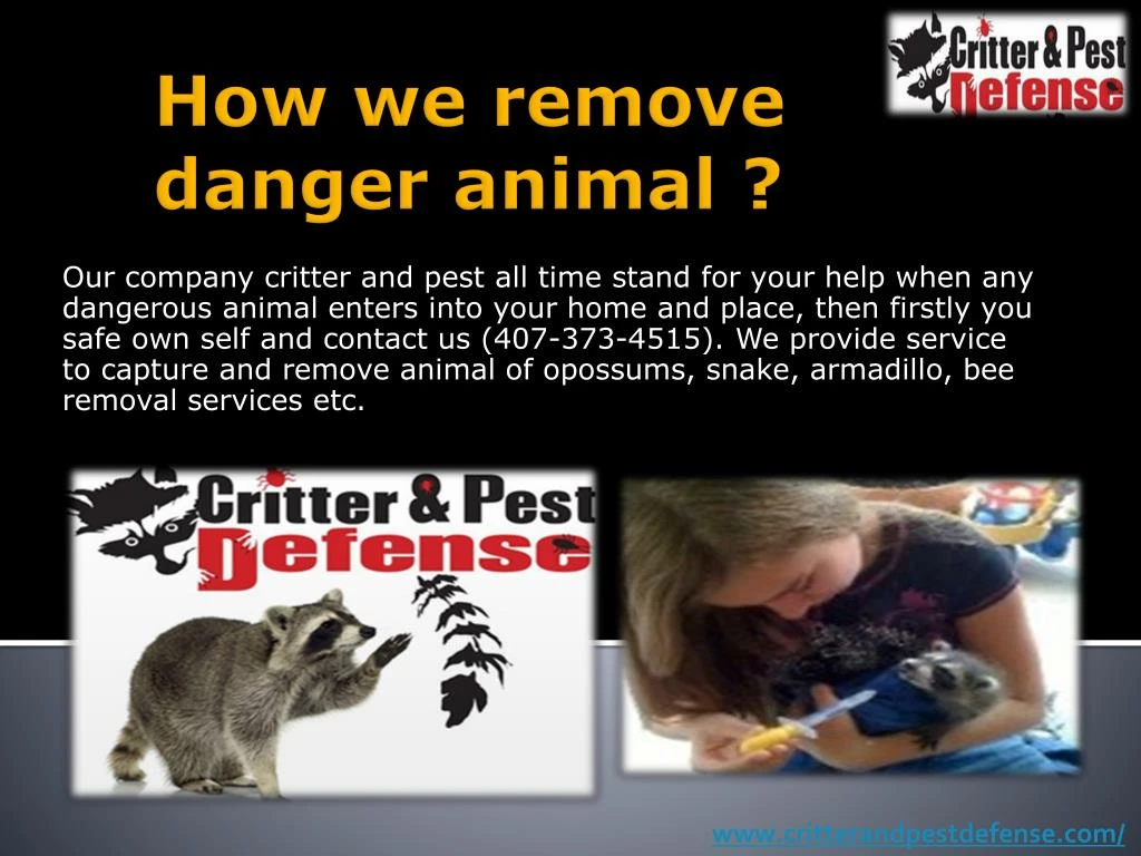 how we remove danger animal