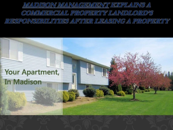 Madison Management explains a commercial property landlord