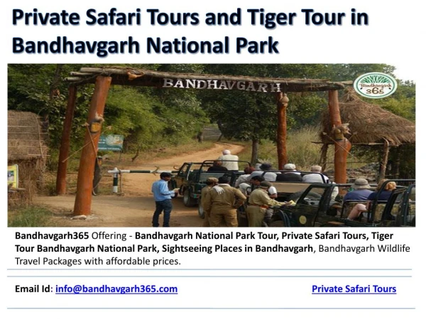Private Safari Tours and Tiger Tour in Bandhavgarh National